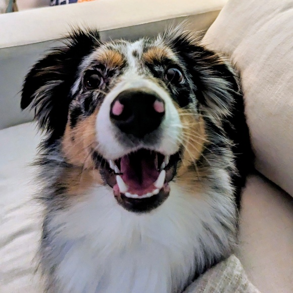 Meet your Posher, T - Picture 1 of 1